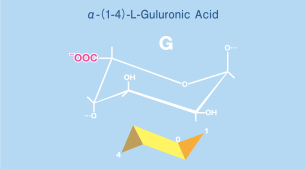 What Is Alginate  Alginic Acid, Alginates and Moulage, Alginate